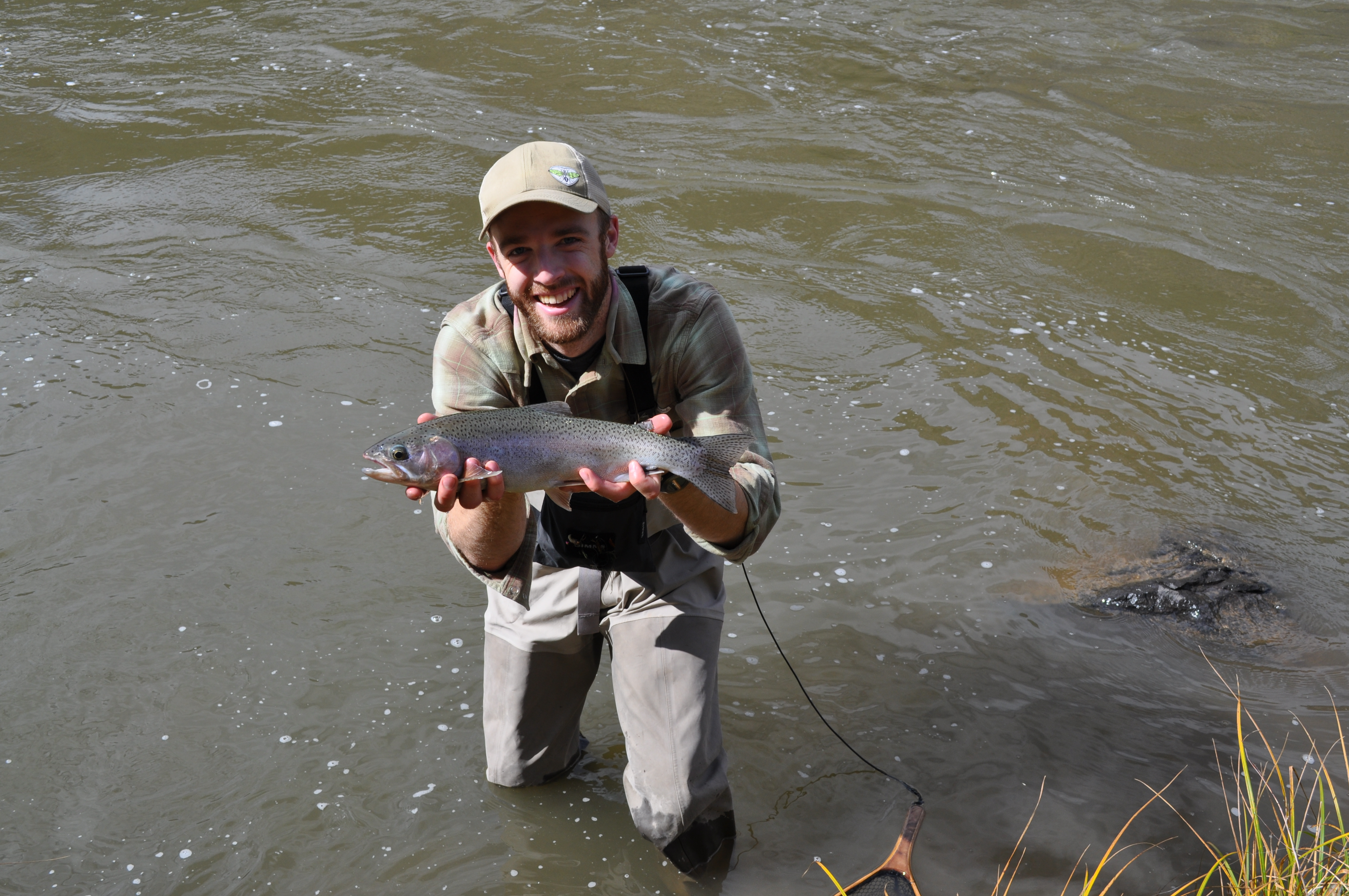 A rainbow trout out of the Rio Grande near the confluence with the Red River (Poundmeister)